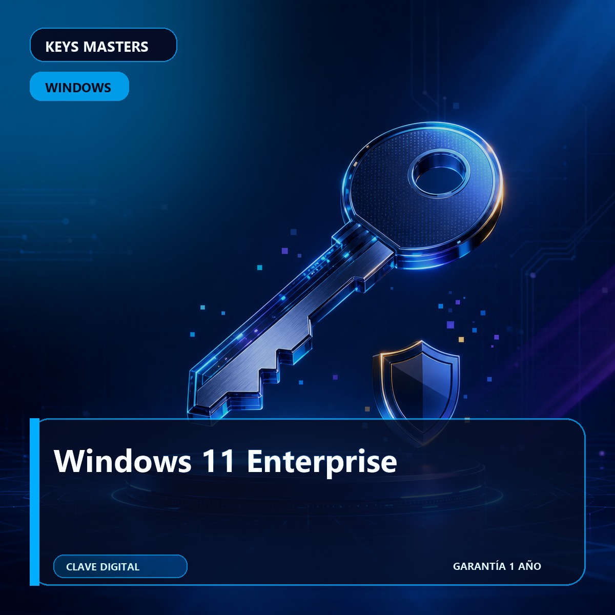 Windows 11 Enterprise