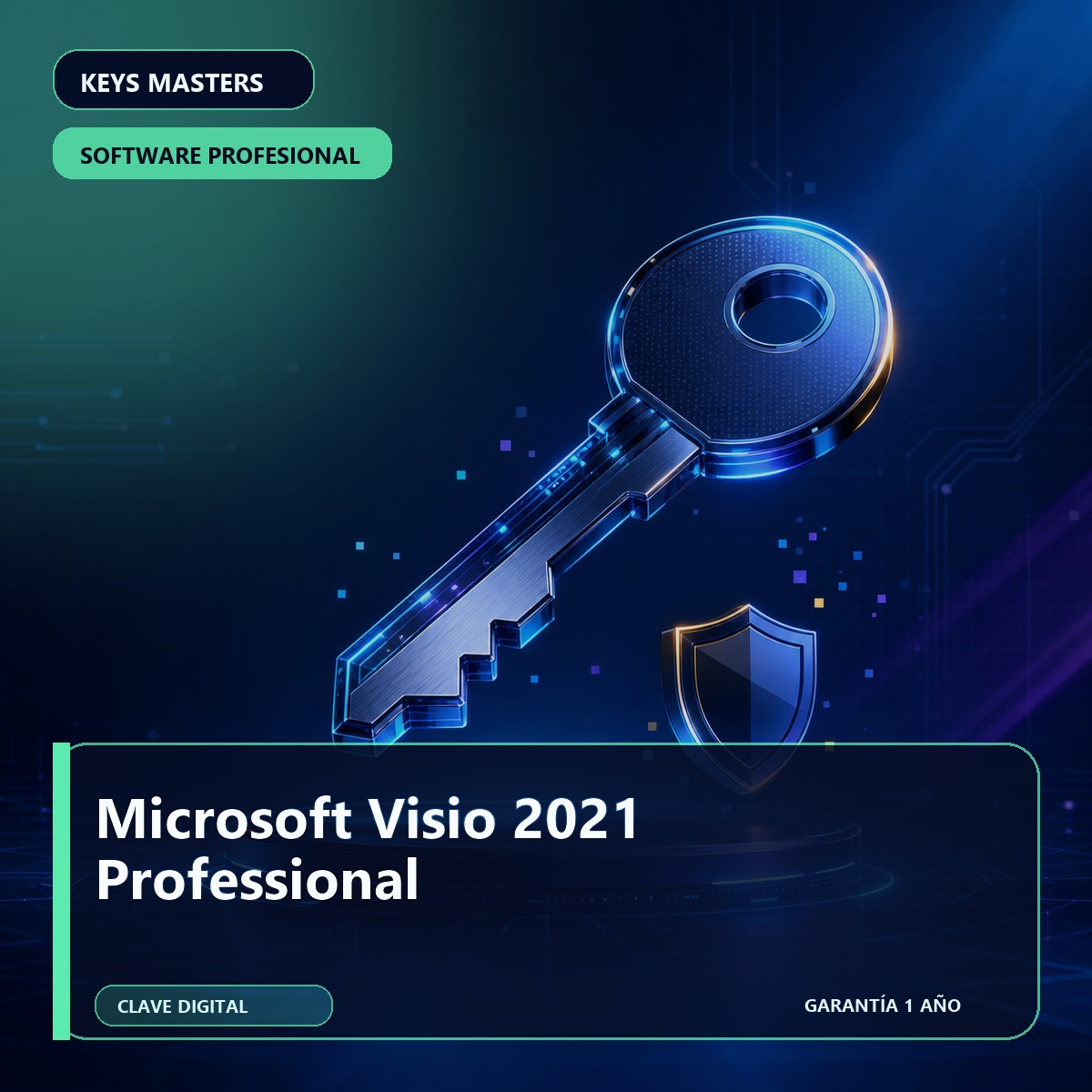 Microsoft Visio 2021 Professional