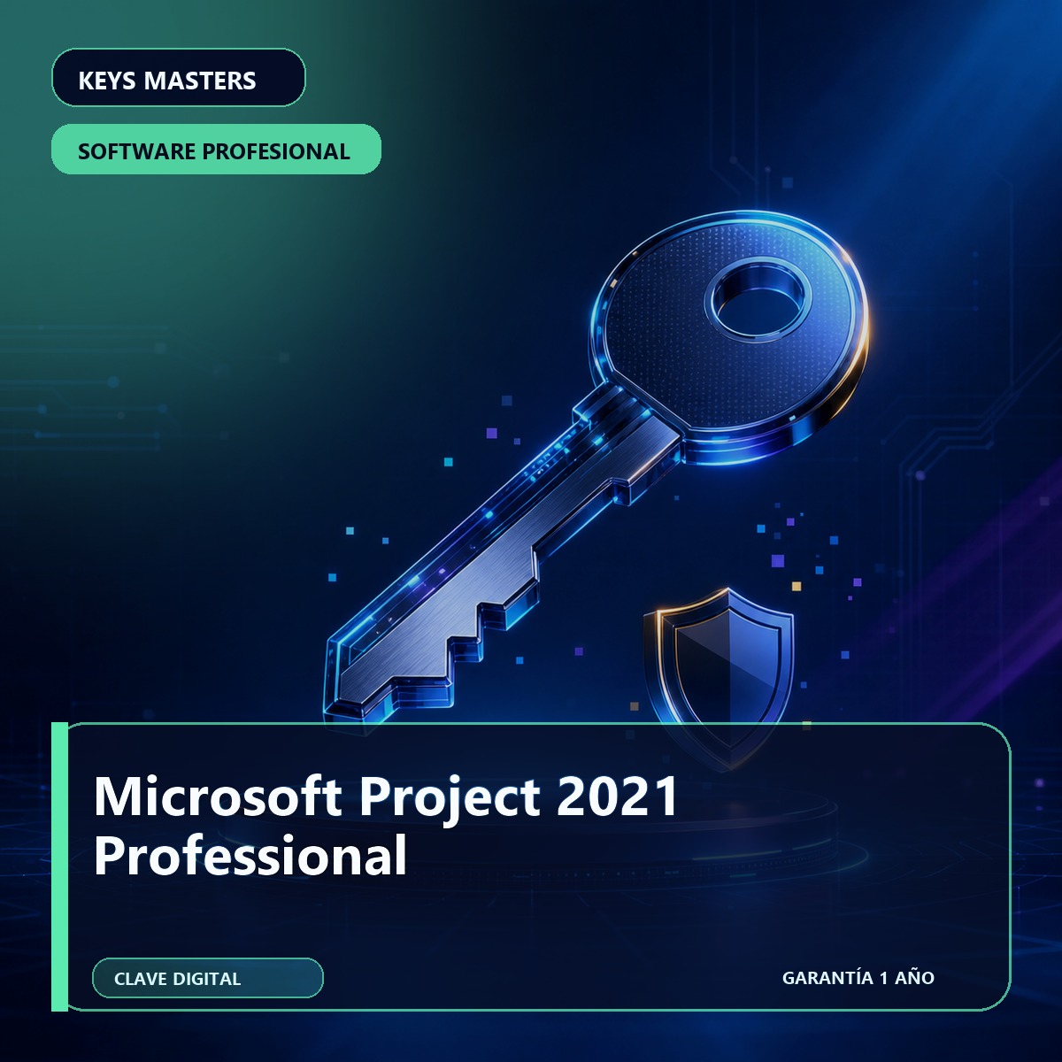 Microsoft Project 2021 Professional