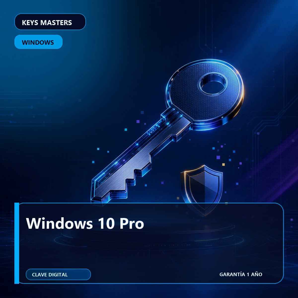 Windows 10 Pro